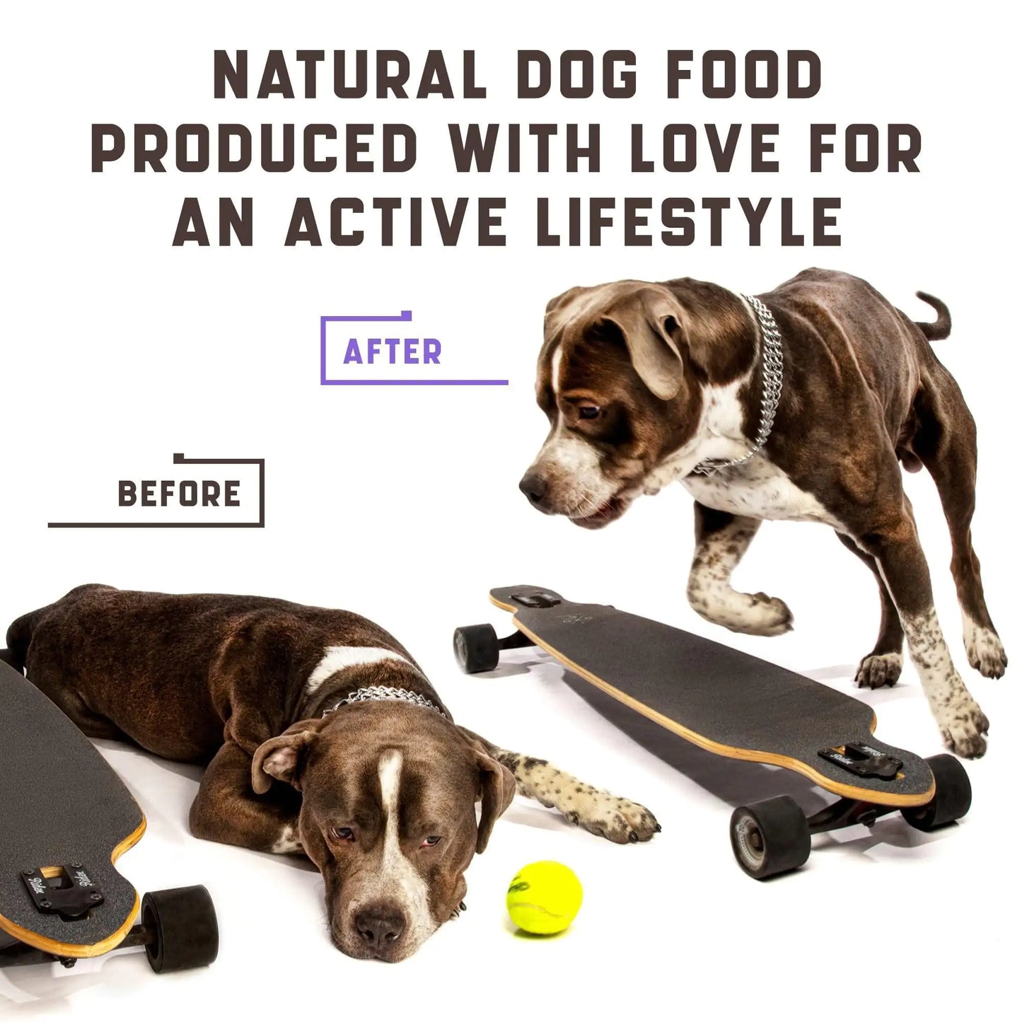 Canine Joint Care Plus Hemp & MSM