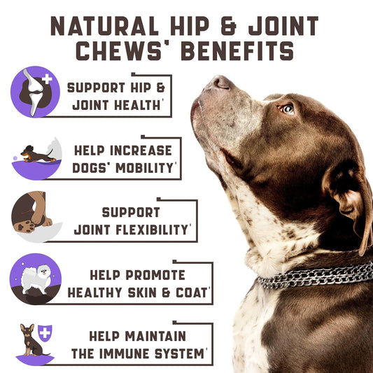 Canine Joint Care Plus Hemp & MSM